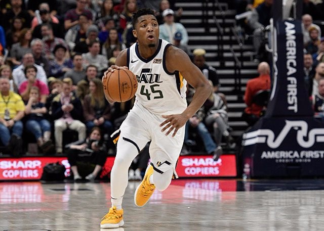 不仅展示了 不仅展示了